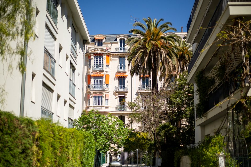 Residential buildings and palms in Cimiez